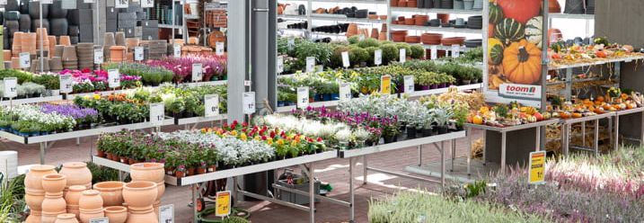 Gartencenter mit vielen Pflanzen